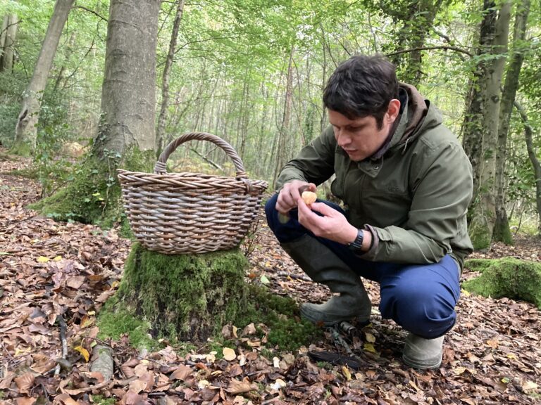 Adam Sparshatt - Foraging