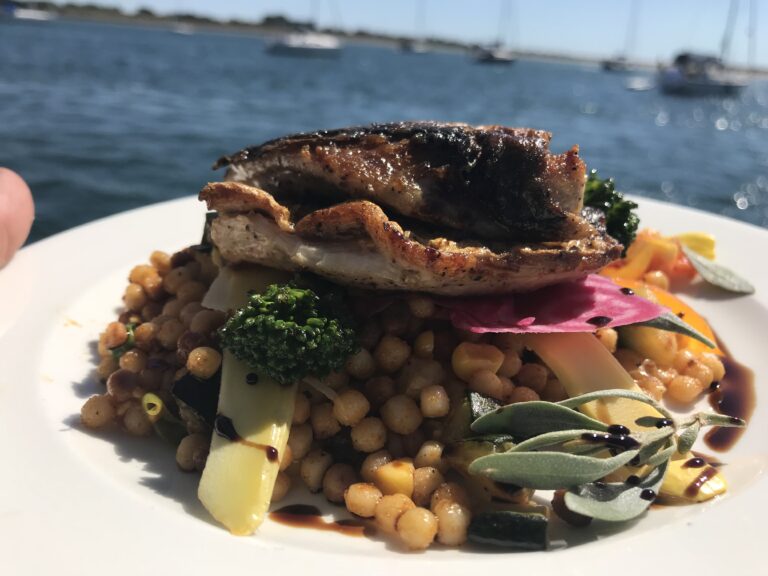 Freshly caught Sea Bass