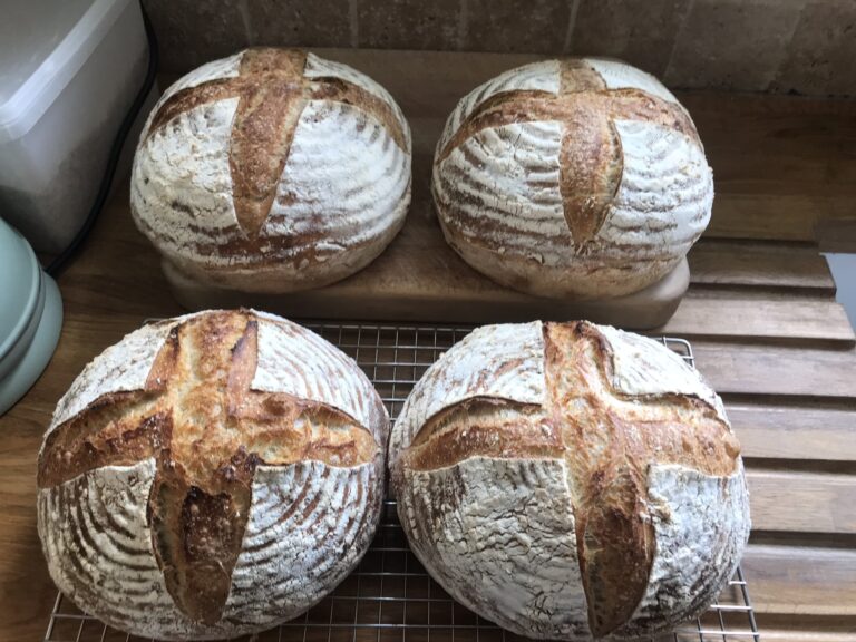 Sourdough